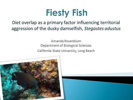 Diet overlap as a primary factor influencing territorial aggression of the dusky damselfish, Stegastes adustus Amanda Rosenblum Department of Biological.