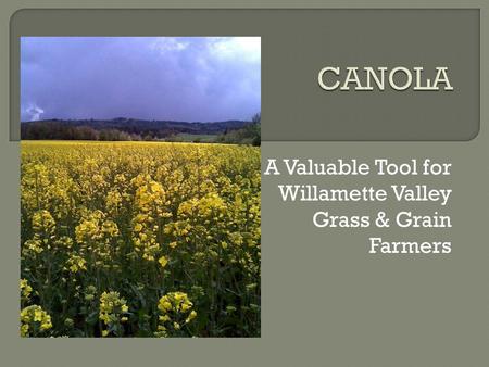 A Valuable Tool for Willamette Valley Grass & Grain Farmers.