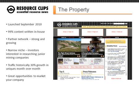 The Property Launched September 2010 99% content written in-house Partner network – strong and growing Narrow niche – investors interested in researching.