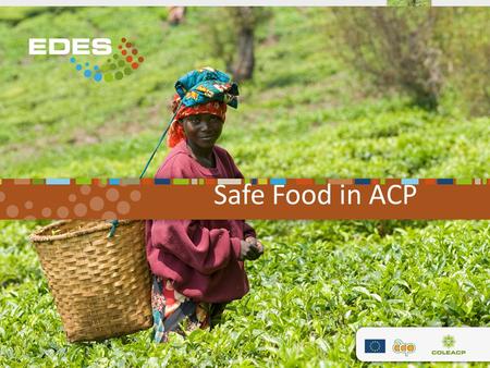 Safe Food in ACP. Shortly… Lead by COLEACP, CONSORTIUM with : Agence Nationale de Sécurité Sanitaire (ANSES, France); Centre de coopération International.