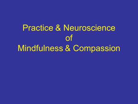 Practice & Neuroscience of Mindfulness & Compassion.