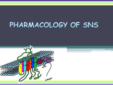 PHARMACOLOGY OF SNS.