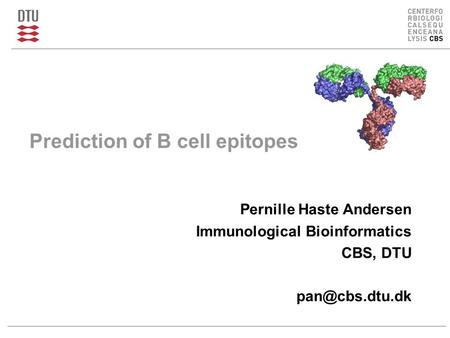 Prediction of B cell epitopes Pernille Haste Andersen Immunological Bioinformatics CBS, DTU