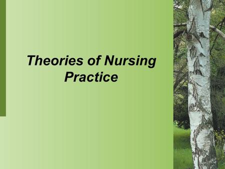 Theories of Nursing Practice