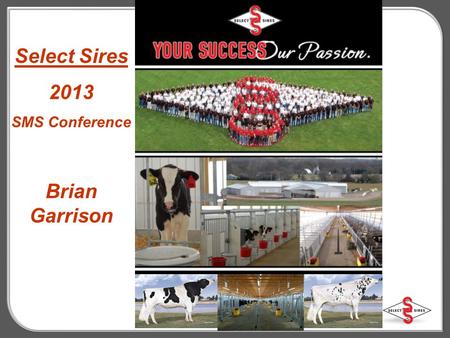 Select Sires 2013 SMS Conference Brian Garrison. The Best in Proven Red Genetics 7HO10000 Big Apple-Red +1917 TPI # 1 Red 7HO9555 CLUE *RC (FBI x SS)+1956.