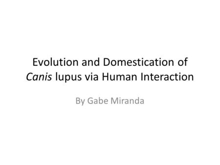 Evolution and Domestication of Canis lupus via Human Interaction By Gabe Miranda.