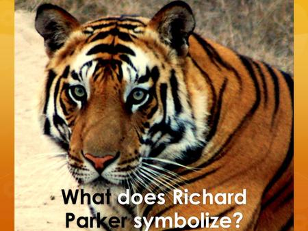 What does Richard Parker symbolize?. Find your given extract in Chapter 92 by skim reading “I heard a growl. I turned. RP was observing me from the lifeboat…giving.