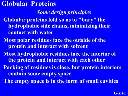 Lect. 8-1 Globular Proteins Some design principles Globular proteins fold so as to bury the hydrophobic side chains, minimizing their contact with water.