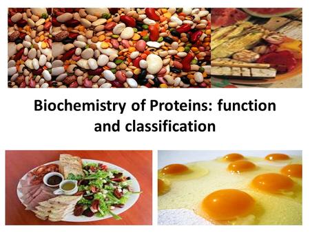 Biochemistry of Proteins: function and classification.