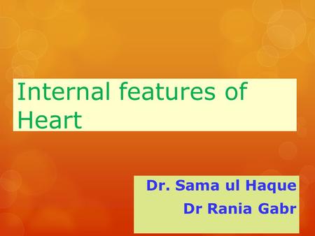 Internal features of Heart Dr. Sama ul Haque Dr Rania Gabr.
