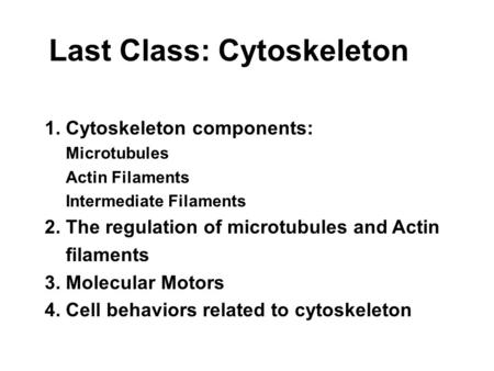 Last Class: Cytoskeleton