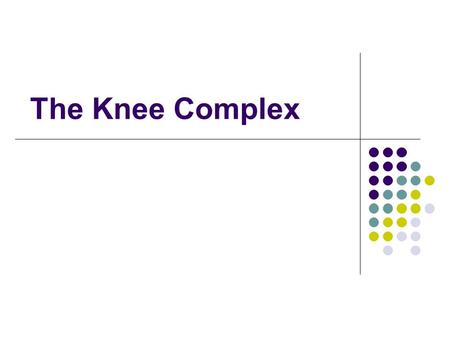 The Knee Complex.