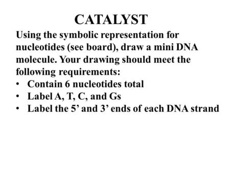 CATALYST Using the symbolic representation for nucleotides (see board), draw a mini DNA molecule. Your drawing should meet the following requirements: