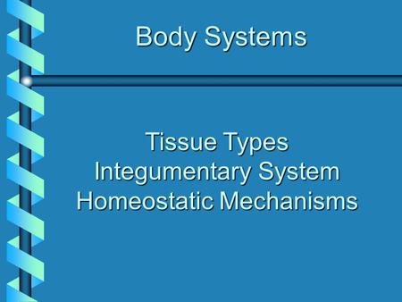 Tissue Types Integumentary System Homeostatic Mechanisms