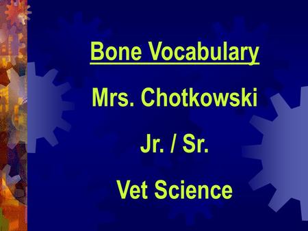Bone Vocabulary Mrs. Chotkowski Jr. / Sr. Vet Science.