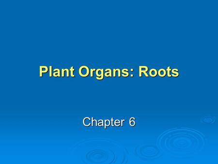Plant Organs: Roots Chapter 6.