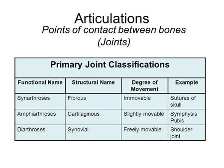 Articulations Points of contact between bones (Joints) Primary Joint Classifications Functional NameStructural NameDegree of Movement Example SynarthrosesFibrousImmovableSutures.