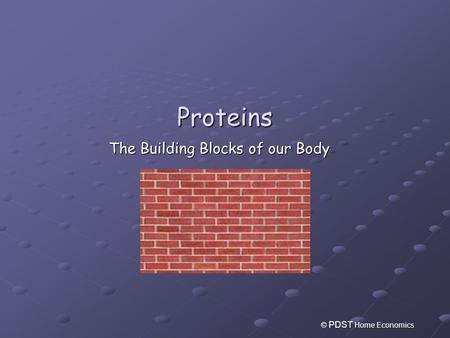 The Building Blocks of our Body