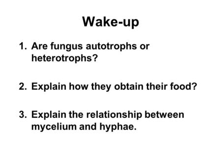 Wake-up 1.Are fungus autotrophs or heterotrophs? 2.Explain how they obtain their food? 3.Explain the relationship between mycelium and hyphae.