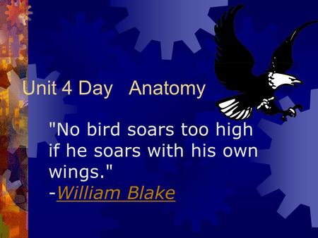 Unit 4 Day Anatomy No bird soars too high if he soars with his own wings. -William BlakeWilliam Blake.