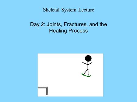 Skeletal System Lecture Day 2: Joints, Fractures, and the Healing Process.