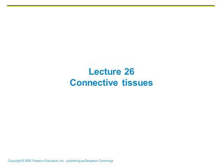 Copyright © 2006 Pearson Education, Inc., publishing as Benjamin Cummings Lecture 26 Connective tissues.