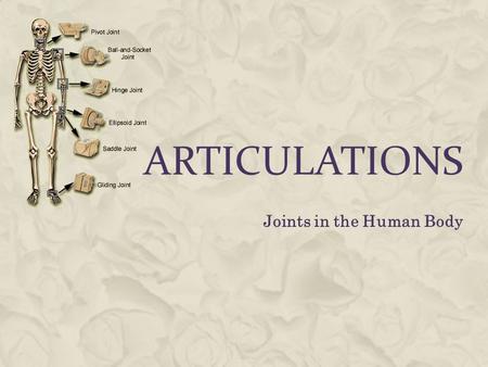 ARTICULATIONS Joints in the Human Body. WHAT ARE ARTICULATIONS?  Articulations are joints  Places where two or more bones meet.