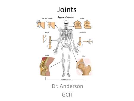 Joints Dr. Anderson GCIT.