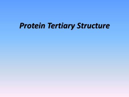 Protein Tertiary Structure. What to Know What are some protein functions? General principles for protein folding General structural features of globular.