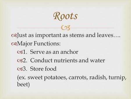 Roots Just as important as stems and leaves…. Major Functions: