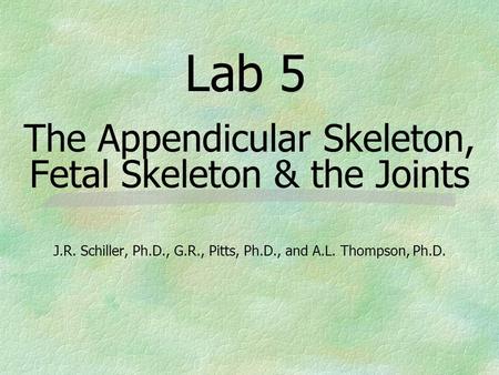 Lab 5 The Appendicular Skeleton, Fetal Skeleton & the Joints J.R. Schiller, Ph.D., G.R., Pitts, Ph.D., and A.L. Thompson, Ph.D.