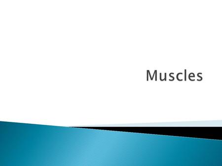  More than 600 muscles in our bodies (about 650)  Muscles make up approximately half of the human body’s weight  The human heart will beat about 40.