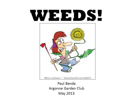 WEEDS! Paul Benda Argonne Garden Club May 2013. 2 Or rather… The cons outweigh the uses.