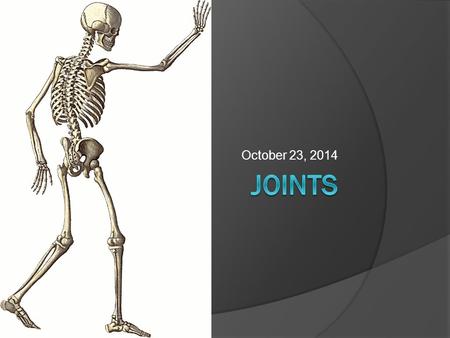October 23, 2014. Joints  Joints occur where two or more bones join together, or articulate  Functions: Hold bones together Allow motion  The structure.