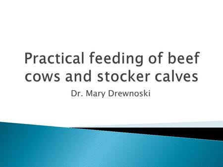 Dr. Mary Drewnoski.  US agriculture production oriented  More is better! Right?  Focus on making profitable decisions  Increasing profit ◦ Increase.
