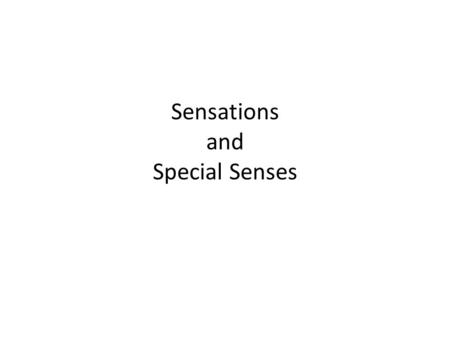 Sensations and Special Senses