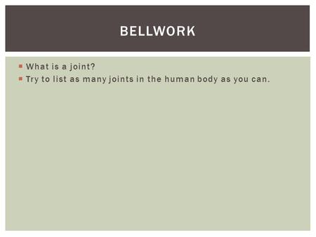 bellwork What is a joint?