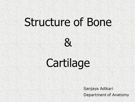 Structure of Bone & Cartilage Sanjaya Adikari Department of Anatomy.