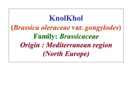 ( Family: Brassicaceae Origin : Mediterranean region (North Europe) KnolKhol (Brassica oleraceae var. gongylodes) Family: Brassicaceae Origin : Mediterranean.