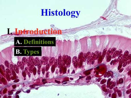 Histology I. Introduction A. Definitions B. Types.