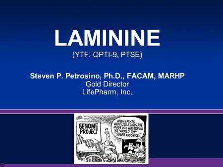 1 LAMININE (YTF, OPTI-9, PTSE) Steven P. Petrosino, Ph.D., FACAM, MARHP Gold Director LifePharm, Inc.