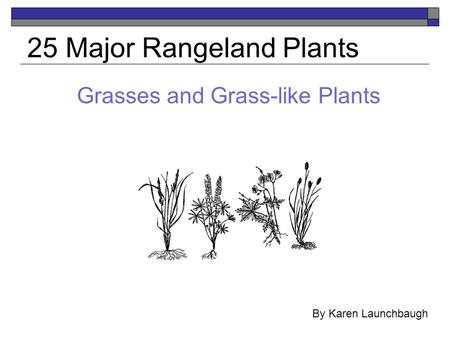 Grasses and Grass-like Plants 25 Major Rangeland Plants By Karen Launchbaugh.