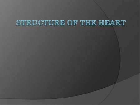 Structure of the Heart.