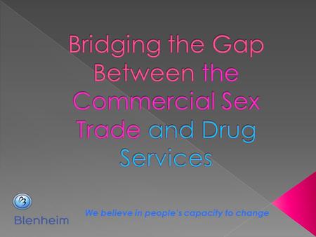 Bridging the Gap Between the Commercial Sex Trade and Drug Services