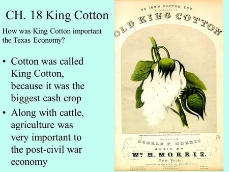 CH. 18 King Cotton Cotton was called King Cotton, because it was the biggest cash crop Along with cattle, agriculture was very important to the post-civil.