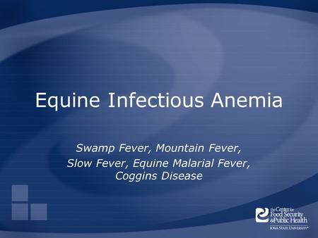 Equine Infectious Anemia Swamp Fever, Mountain Fever, Slow Fever, Equine Malarial Fever, Coggins Disease.