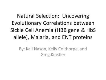 Natural Selection: Uncovering Evolutionary Correlations between Sickle Cell Anemia (HBB gene & HbS allele), Malaria, and ENT proteins By: Kali Nason, Kelly.