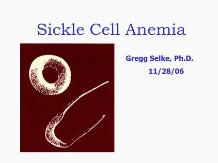 Sickle Cell Anemia Gregg Selke, Ph.D. 11/28/06.