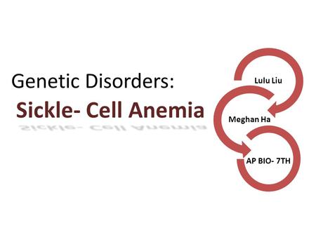 Sickle- Cell Anemia Lulu Liu Meghan Ha AP BIO- 7TH Genetic Disorders: