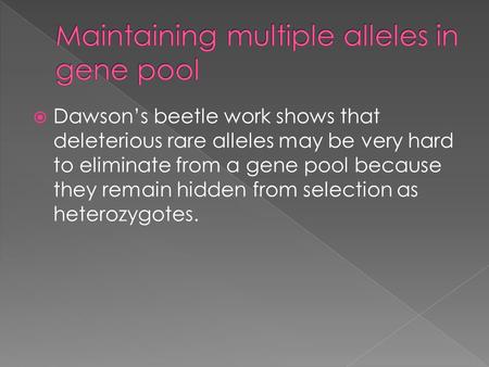  Dawson’s beetle work shows that deleterious rare alleles may be very hard to eliminate from a gene pool because they remain hidden from selection as.